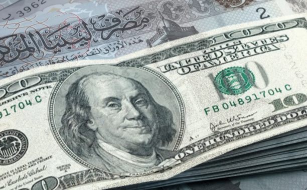 image 2026 01 18 173518511 98bd7db6