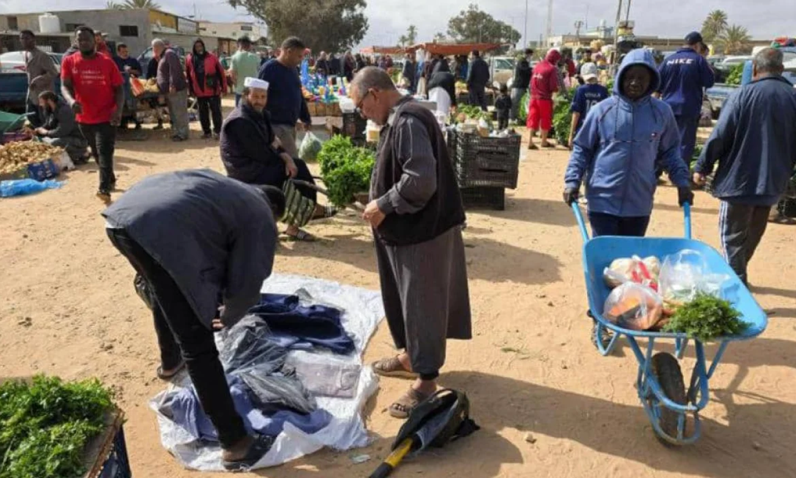 image 2025 02 13 163219236 c7124b89