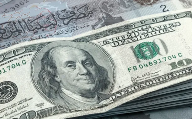 IMG 2180 108733ad fa9d0f59