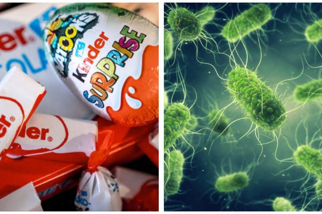 E6FBEE6C 1B80 4A23 A7D2 BD7DEC024899 scaled 1 2f79825e