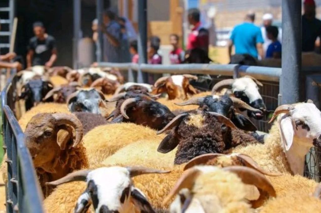 image 2024 06 14 213437134 3707118b