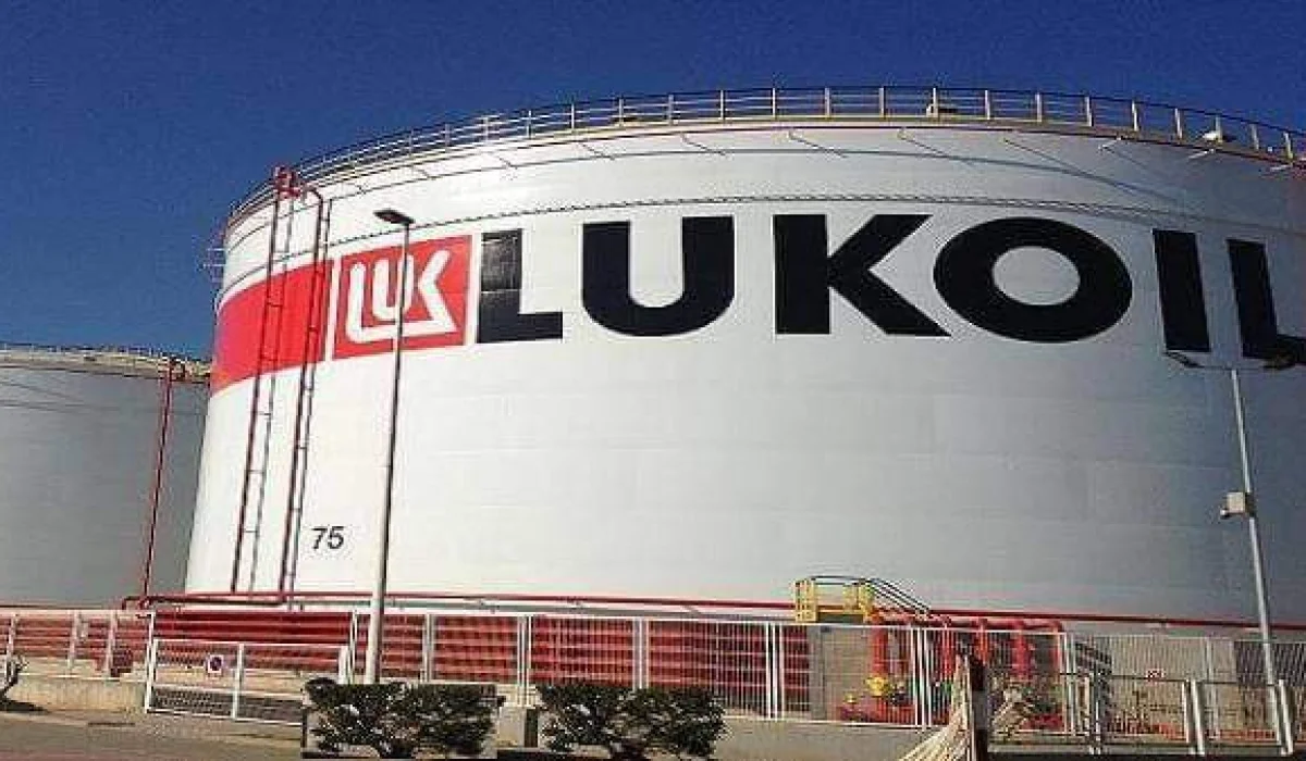 image 2024 11 21 160851982 496c65b3