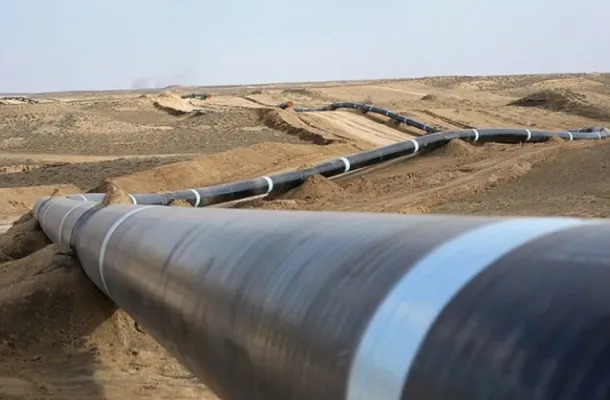 460295ce15c9440d9be6fb474387a285 1 95f95b63 9f3bd2c4