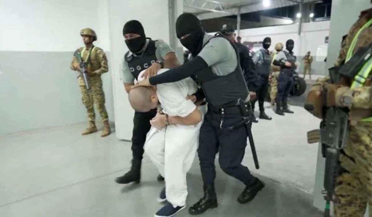 image 2025 05 08 204952279 d2295d78