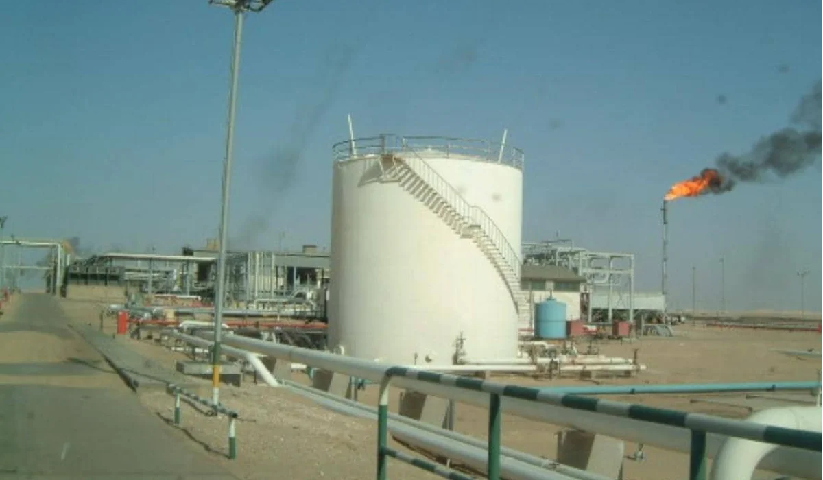 image 2025 02 13 162233841 fda41467