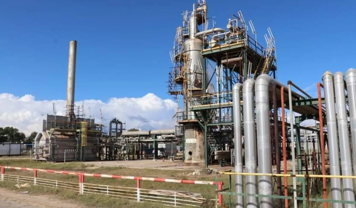 image 2024 12 15 182949487