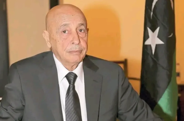 image 2025 01 29 221123227