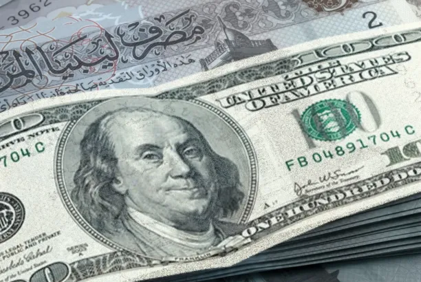 image?src=%7B%22file%22%3A%22wp content%2Fuploads%2Fsites%2F2%2F2026%2F02%2FIMG 2180 108733ad