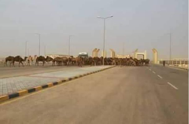 المجلس البلدي بنغازي يمهل أصحاب الأكشاك التجارية العشوائية 5 أيام