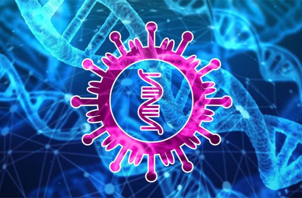 صعوبات مالية وتجاوزات.. تقرير لهيئة الرقابة يكشف تدني إيرادات المصرف الزراعي وتآكل رأس ماله