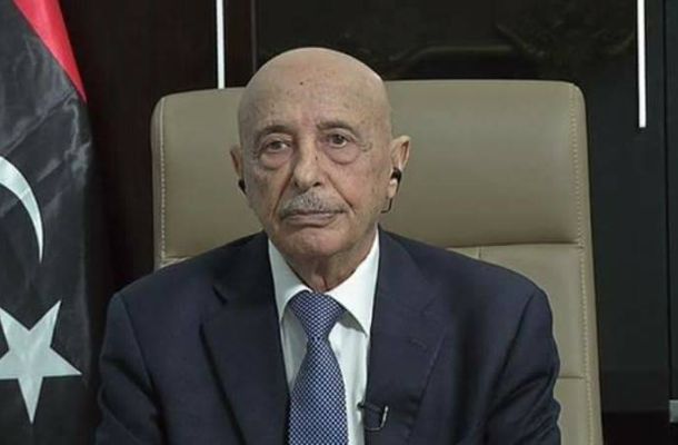 رئيس المجلس الرئاسي يصدر تعليمات بشأن تسديد رسوم الدراسية للطلبة الموفدين بجمهورية "الجبل الأسود"