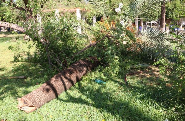 بلدية جنزور تبحث توزيع غاز الطهو