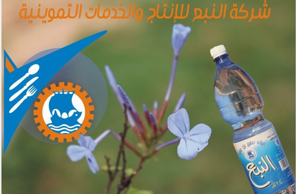 السرّاج يلتقي المدير التنفيذي للشركة العامة للنقل البحري