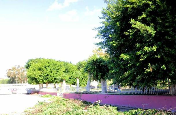 السفارة الإيطالية تصدر 9 آلاف تأشيرة منذ مارس 2017