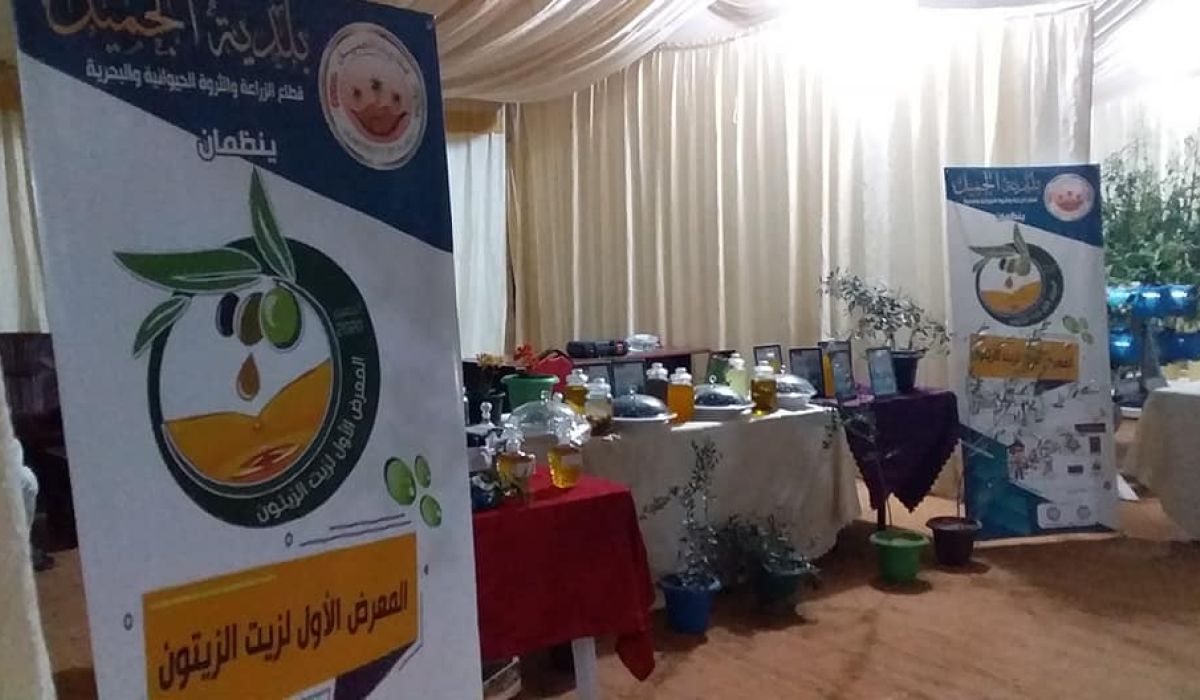 انطلاق فعاليات المعرض الأول لزيت الزيتون ببلدية الجميل