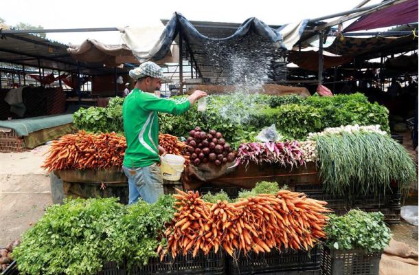 المصرف المركزي: مصروفات المجلس الرئاسي وجهاته التابعة بلغت 204 مليون دينار