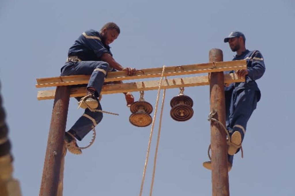 عدسة صدى ترصد أسعار الأضاحي مع اقتراب عيد الأضحى