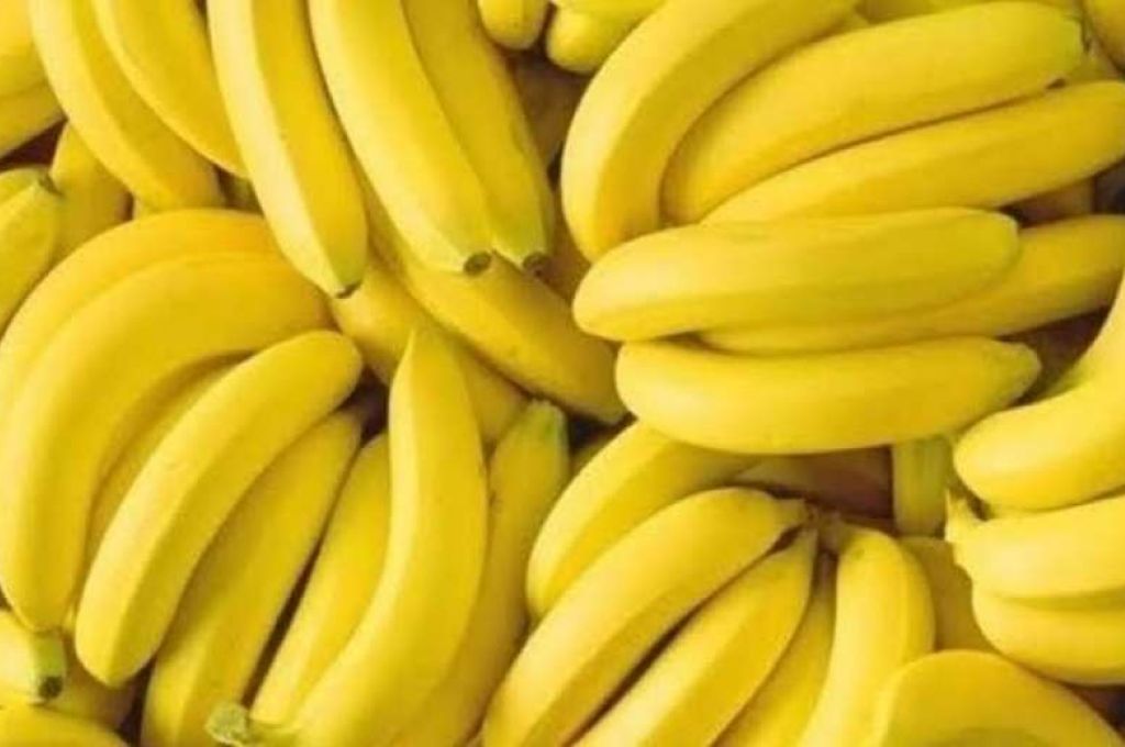 القبض على مدير مستشفى الطبي بعد رصد عدة مخالفات كارثية بالمستشفى والمخازن التابعة لها