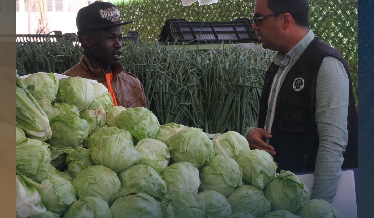 وزارة العمل والتأهيل تطلق حملة تفتيش لإنفاذ القانون وعودة الحياة لسوق العمل الليبي