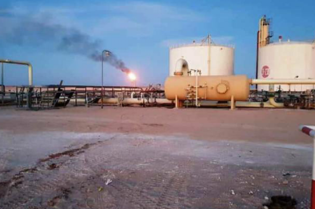 "محمد أحمد" يتحدث عن دعم المحروقات في تقرير ديوان المحاسبة لسنة 2018