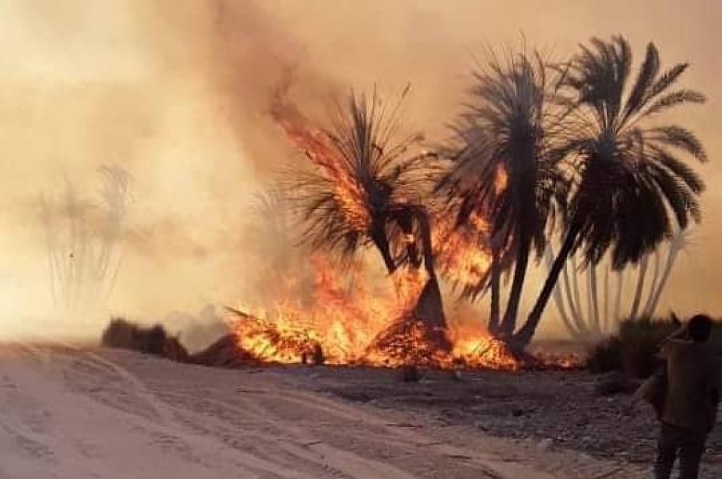 بعد مطالبة وزير المالية .. "الجمارك " توقف قرار الرئاسي بتمديد فترة الاستيراد بدون اعتماد مستندي