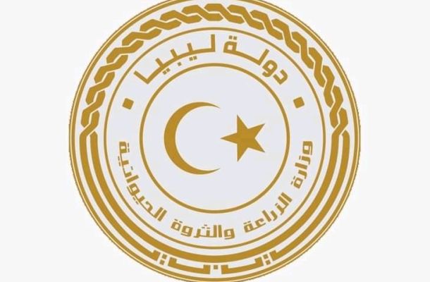 "علي العابد" يؤكد على أن الوزارة تسعى إلى إيجاد حلول لكل المشاكل لمكاتب العمل بالبلديات في إطار خطة عودة الحياة