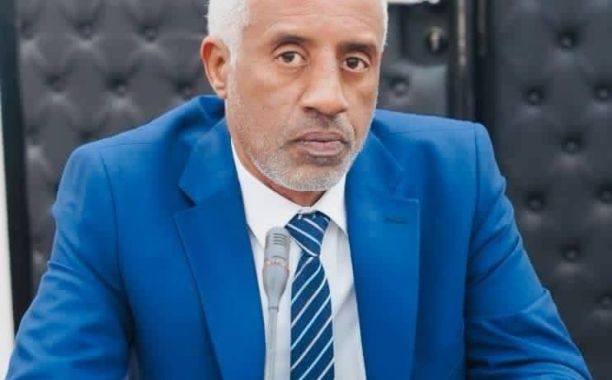 الجديد : شركات الطيران العامة في ليبيا فاشلة ورفع الأسعار شماعة تعلق عليها هذا الفشل