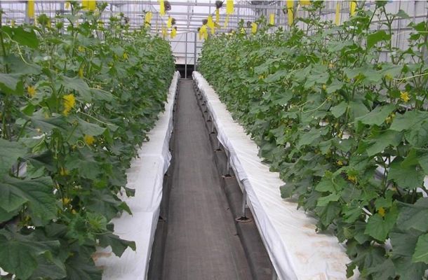 "مذكرة تفاهم بين هيئة المعلومات وأملاك الدولة "