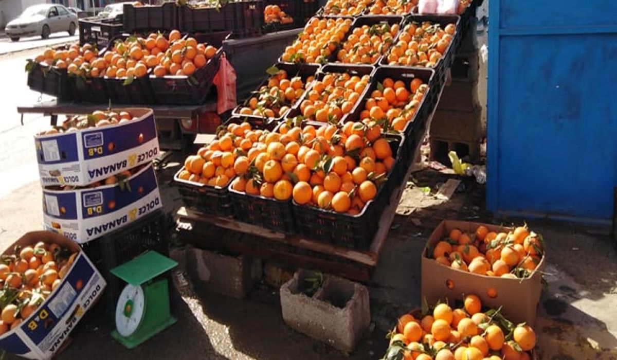 حسني بي يراهن وسهيل يخاطر " رجل أعمال بمشروع كلف 1000 دينار و200 ليرة تركية"