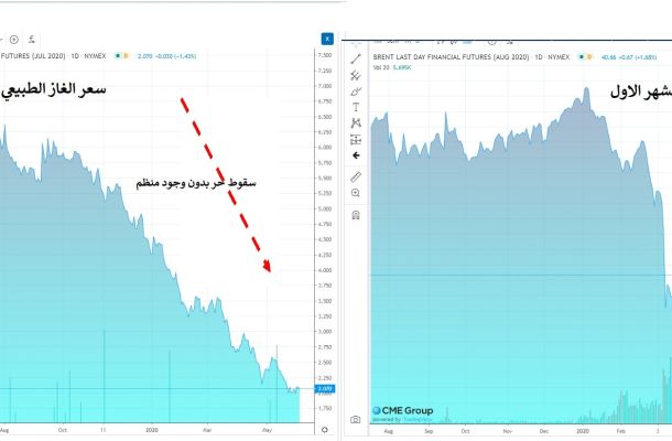 الفيتوري يكتب: "فلسفة الدعم الاقتصادي"